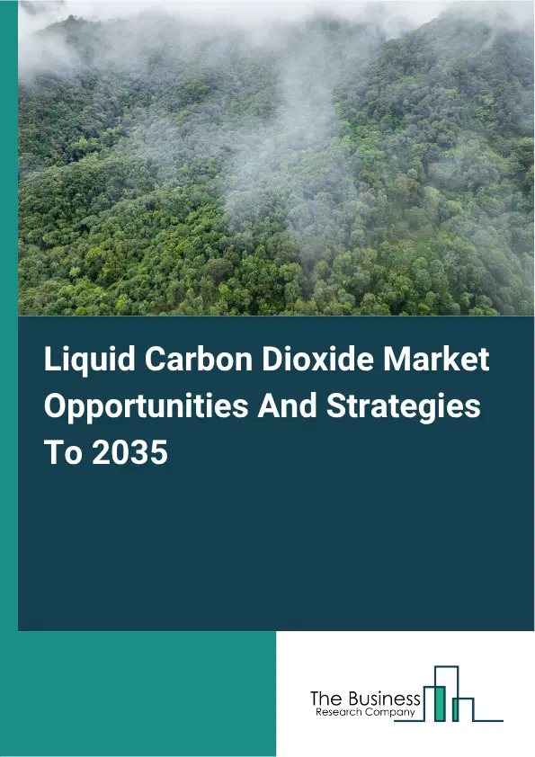 Liquid Carbon Dioxide Global Market Opportunities And Strategies To 2035