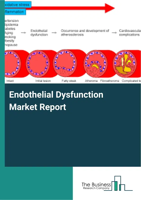 Global Endothelial Dysfunction Market Report 2026
