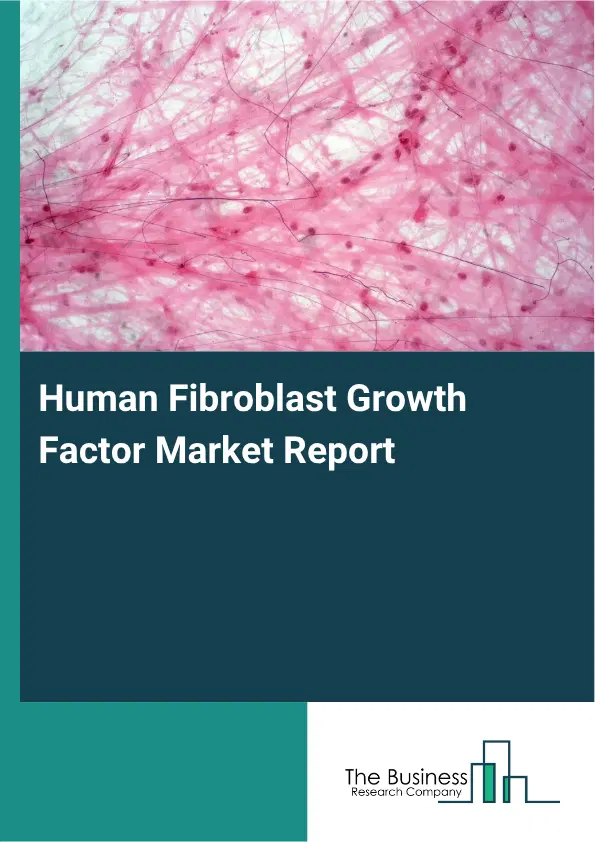Human Fibroblast Growth Factor Market Report 2026