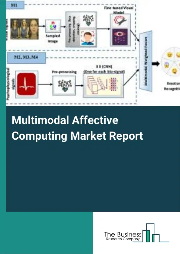 Global Multimodal Affective Computing Market Report 2026
