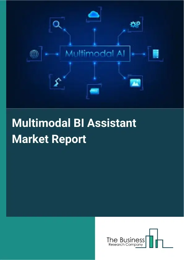 Global Multimodal BI Assistant Market Report 2026