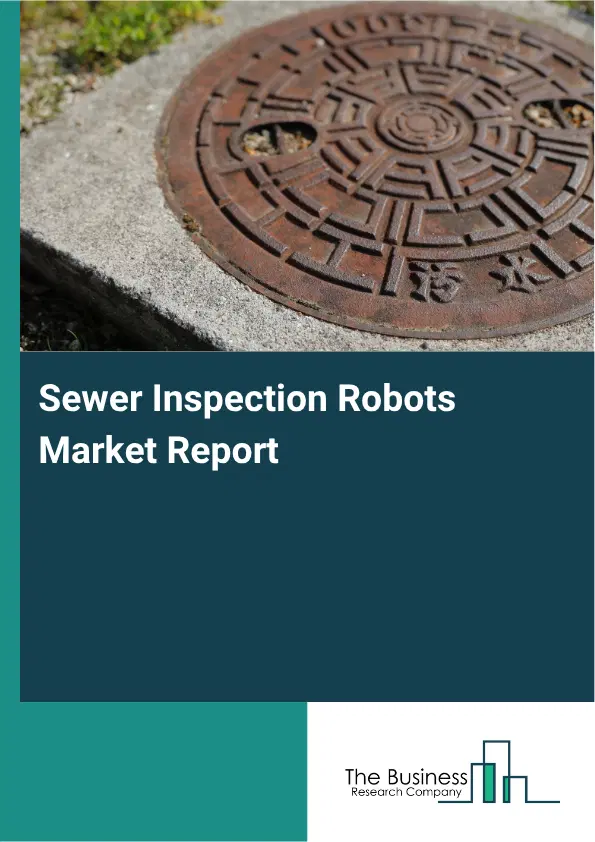 Sewer Inspection Robots Market Report 2026