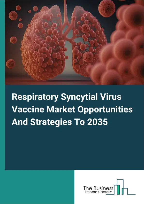 Respiratory Syncytial Virus Vaccine Global Market Opportunities And Strategies To 2035 Respiratory Syncytial Virus Vaccine Global Market Opportunities And Strategies To 2035