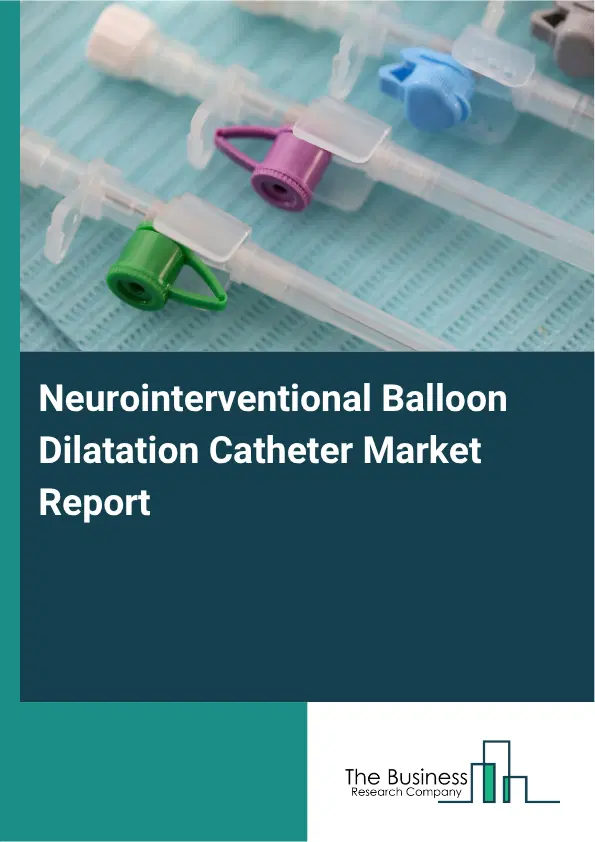 Neurointerventional Balloon Dilatation Catheter Market Report 2026 Neurointerventional Balloon Dilatation Catheter Market Report 2026
